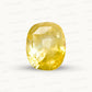 Natural Yellow Sapphire (Pukhraj) – Prosperity, Wisdom & Jupiter’s Blessing 10.34 CT