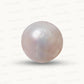 Natural Pearl (Moti) – The Gem of Purity, Elegance & Peace 10.43 CT