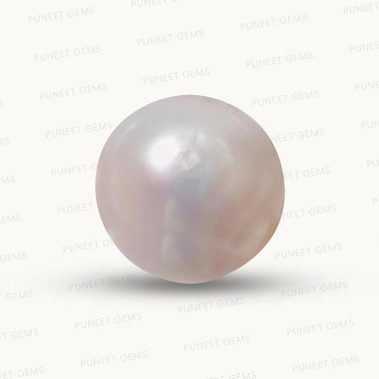 Natural Pearl (Moti) – The Gem of Purity, Elegance & Peace 10.43 CT