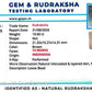🌿 14 Mukhi Nepali Rudraksha (Natural & Certified). Super collective