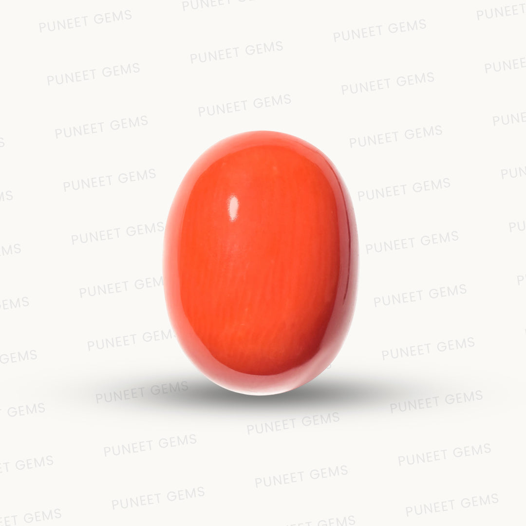 Natural Coral Gemstone – The Gem of Strength, Vitality & Protection 10.69 CT