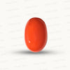 Natural Coral Gemstone – The Gem of Strength, Vitality & Protection 10.77 CT