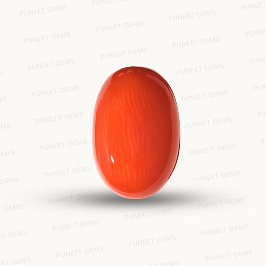 Natural Coral Gemstone – The Gem of Strength, Vitality & Protection 10.77 CT