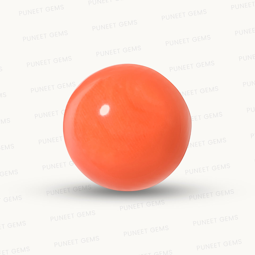 Red Coral Japanese – Natural Moonga for Strength 10.89 CT