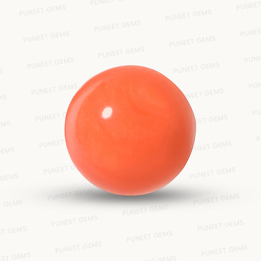 Red Coral Japanese – Natural Moonga for Strength 10.89 CT