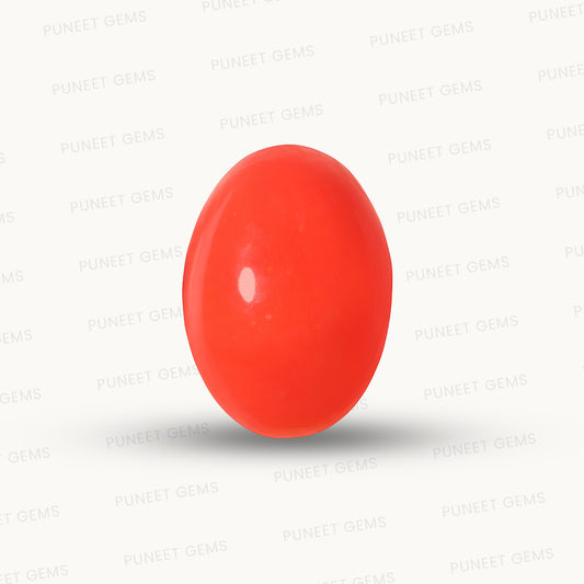 Red Coral Japanese – Natural Moonga for Strength 10.91 CT
