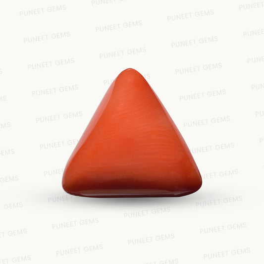 Natural Triangle Coral – The Gem of Strength, Vitality & Protection 10.97 CT