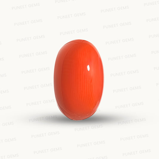 Natural Coral Gemstone – The Gem of Strength, Vitality & Protection 10.98 CT