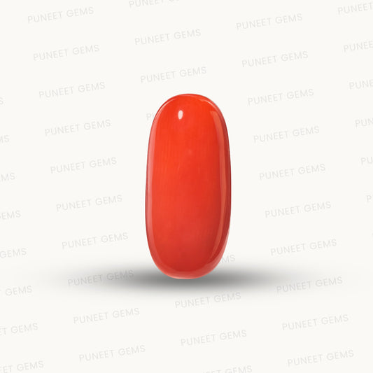 Natural Coral Gemstone – The Gem of Strength, Vitality & Protection 11.04 CT