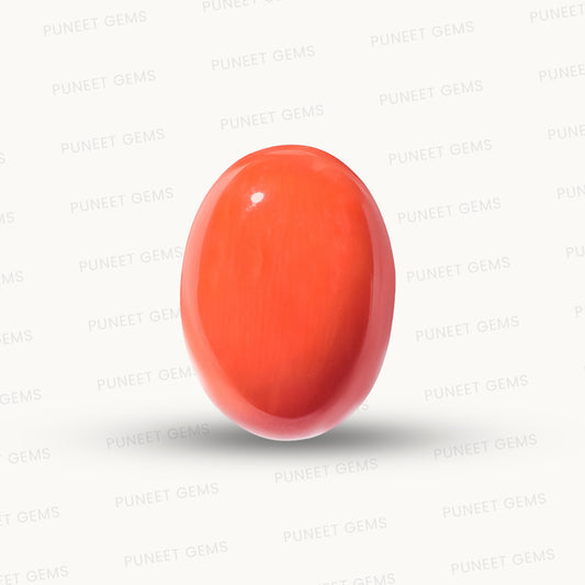 Natural Coral Gemstone – The Gem of Strength, Vitality & Protection 11.29 CT