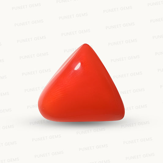 Natural Triangle Coral – The Gem of Strength, Vitality & Protection 11.45 CT
