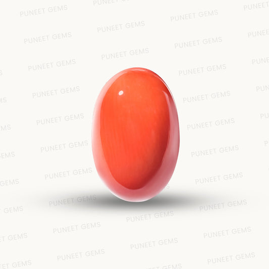 Natural Coral Gemstone – The Gem of Strength, Vitality & Protection 11.45 CT