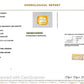 Natural Yellow Sapphire (Pukhraj) 11.59 Ct – Certified Premium Gemstone