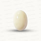 Natural White Coral Gemstone – The Gem of Strength, Vitality & Protection 11.83 CT