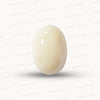 Natural White Coral Gemstone – The Gem of Strength, Vitality & Protection 11.83 CT