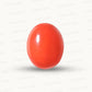Red Coral Japanese – Natural Moonga for Strength 12.05 CT