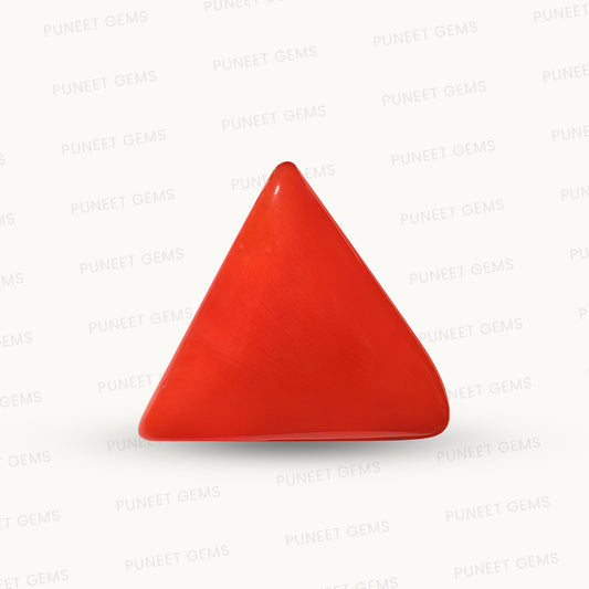 Natural Triangle Coral – The Gem of Strength, Vitality & Protection 12.11 CT