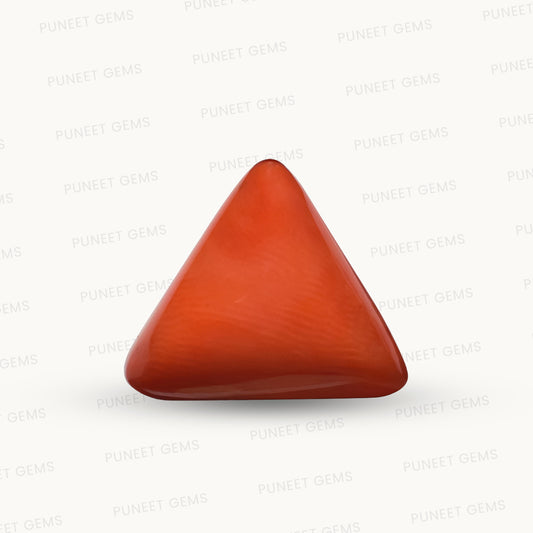 Natural Triangle Coral – The Gem of Strength, Vitality & Protection 12.12 CT