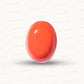 Natural Coral Gemstone – The Gem of Strength, Vitality & Protection 12.90 CT