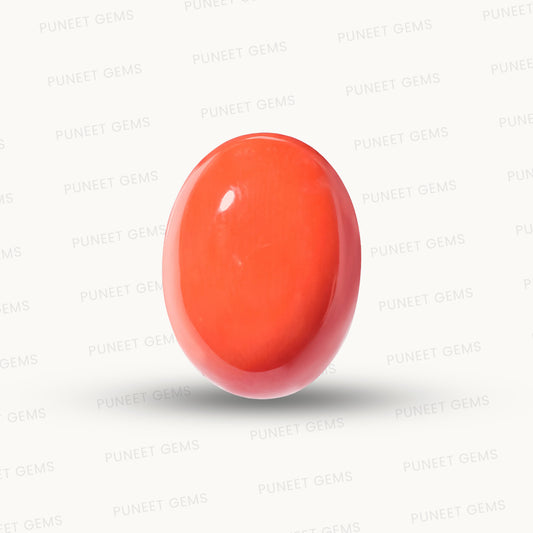 Natural Coral Gemstone – The Gem of Strength, Vitality & Protection 12.90 CT