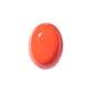 Natural Coral Gemstone – The Gem of Strength, Vitality & Protection 12.90 CT