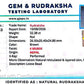 Nepali 4 Mukhi Rudraksha