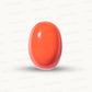 Natural Coral Gemstone – The Gem of Strength, Vitality & Protection 13.01 CT