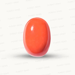 Natural Coral Gemstone – The Gem of Strength, Vitality & Protection 13.01 CT