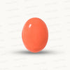 Red Coral Japanese – Natural Moonga for Strength 13.00 CT