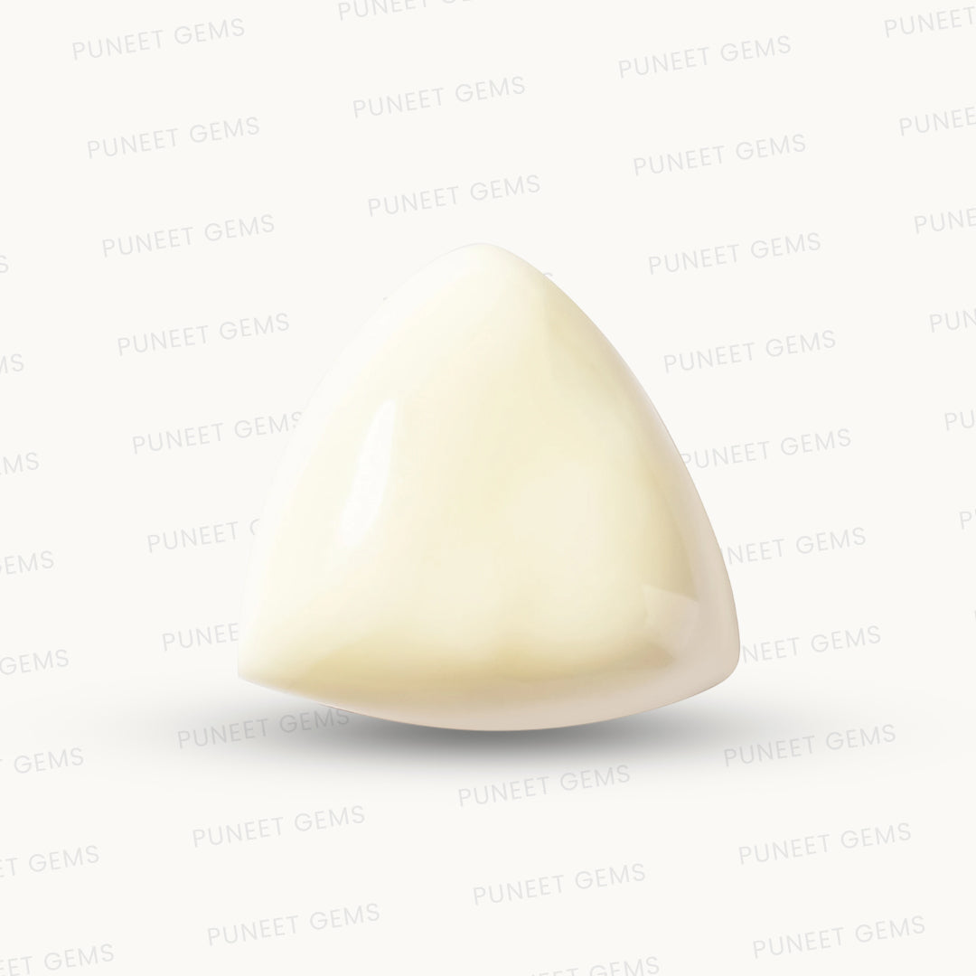 Natural White Coral Gemstone – The Gem of Strength, Vitality & Protection 13.32 CT