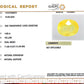 Natural Bangkok Yellow Sapphire (Pukhraj) 4.60 Ct – Certified Gemstone
