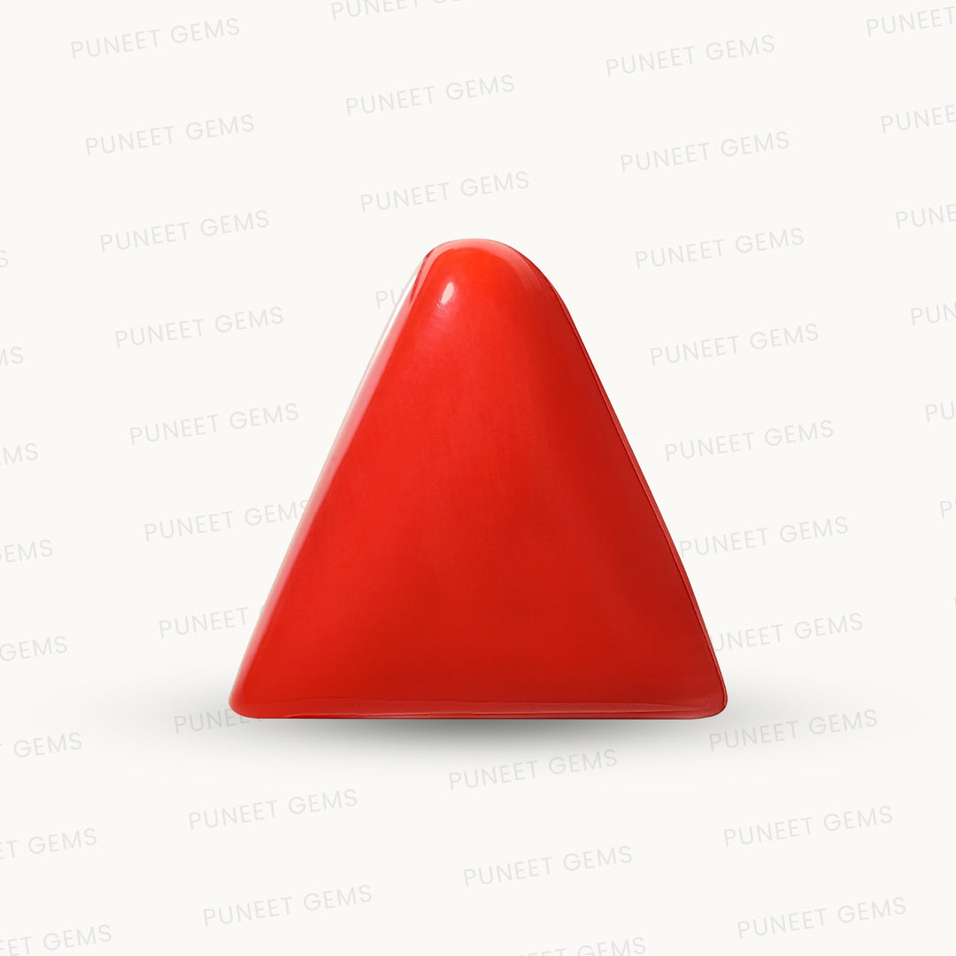 Natural Triangle Coral – The Gem of Strength, Vitality & Protection 14.22 CT