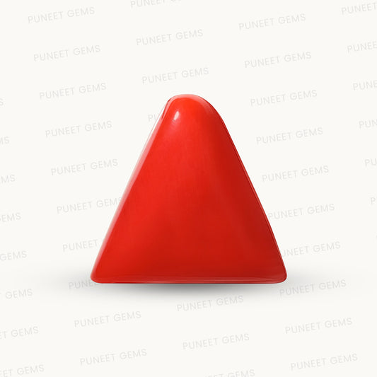 Natural Triangle Coral – The Gem of Strength, Vitality & Protection 14.22 CT