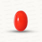 Red Coral Japanese – Natural Moonga for Strength 14.48 CT