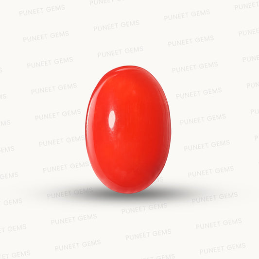Red Coral Japanese – Natural Moonga for Strength 14.48 CT