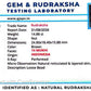 🌿 14 Mukhi Nepali Rudraksha (Natural & Certified). Super collective
