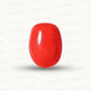 Red Coral Japanese – Natural Moonga for Strength 15.08 CT