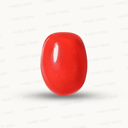 Red Coral Japanese – Natural Moonga for Strength 15.08 CT