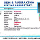 🌿 14 Mukhi Nepali Rudraksha (Natural & Certified). Medium