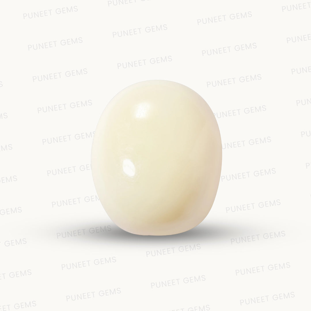 Natural White Coral Gemstone – The Gem of Strength, Vitality & Protection 15.66 CT