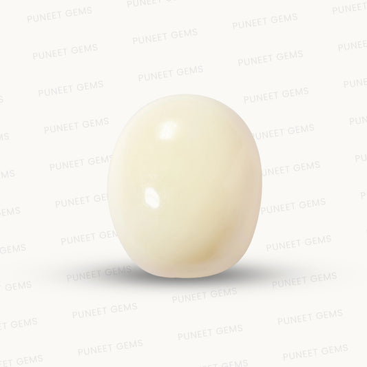 Natural White Coral Gemstone – The Gem of Strength, Vitality & Protection 15.66 CT