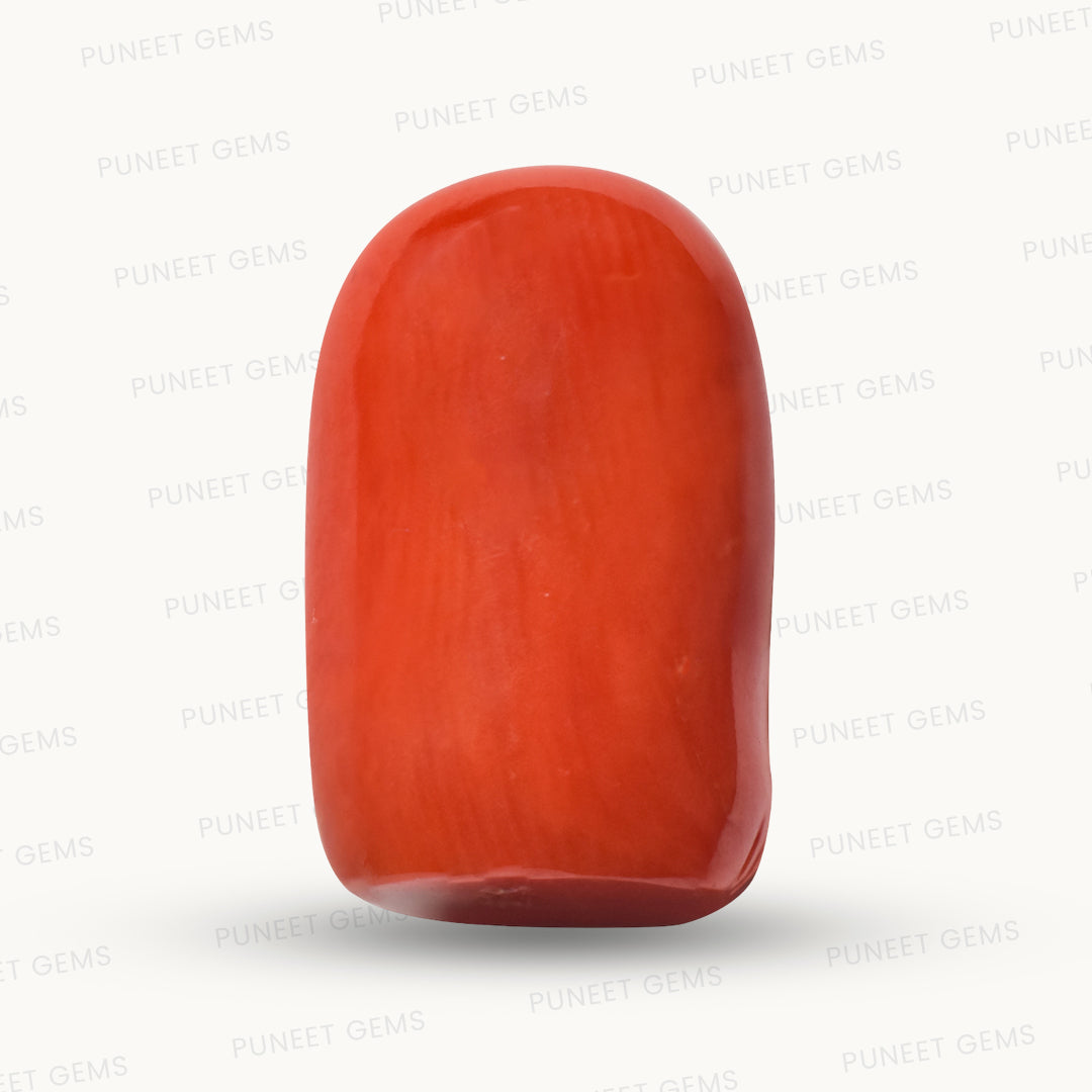 Coral Ganesh Gemstone Sculpture – Remover of Obstacles, Bringer of Strength & Success 15.68 CT
