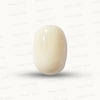 Natural White Coral Gemstone – The Gem of Strength, Vitality & Protection 15.94 CT