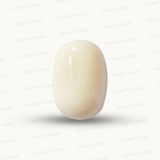 Natural White Coral Gemstone – The Gem of Strength, Vitality & Protection 15.94 CT