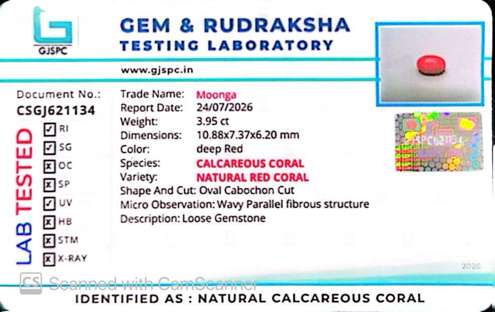 Natural Red Coral (Moonga) – Italy Origin – Certified & Untreated Gemstone for Mars Energy 3.95 CT