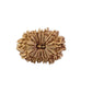 16 Mukhi Nepali Rudraksha (Antik)