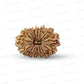 16 Mukhi Nepali Rudraksha (Antik)