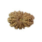 17 Mukhi Nepali Rudraksha (Super Collector Beads)