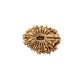 19 Mukhi Nepali Rudraksha (Medium)