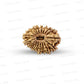 19 Mukhi Nepali Rudraksha (Medium)